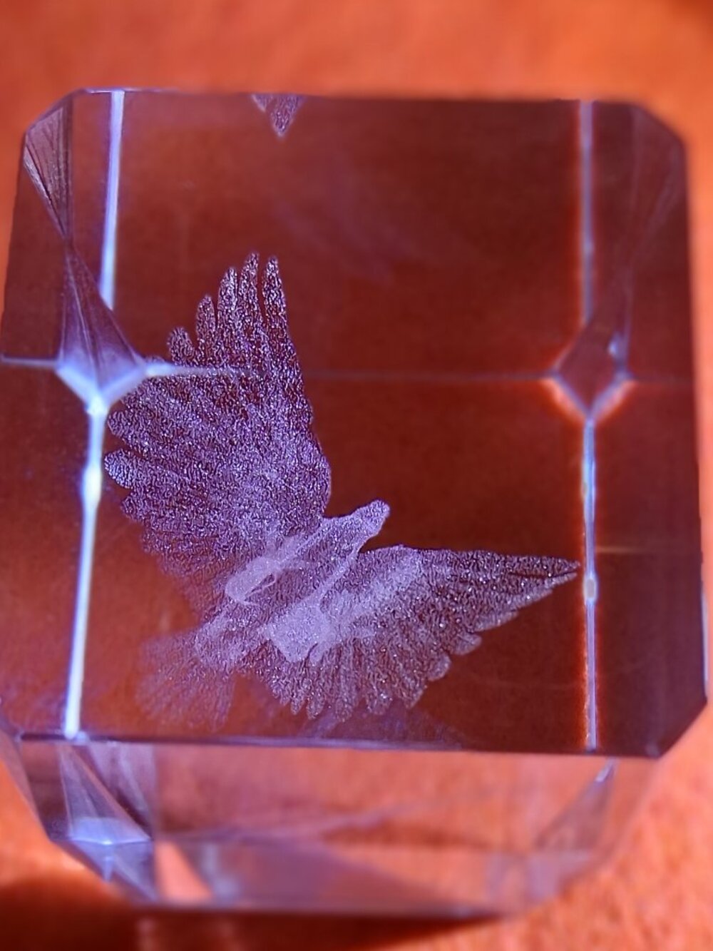 3D Laser‑Etched Crystal Bird in Flight Figurine w/ Presentation Box - Picture 7 of 7